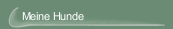 Meine Hunde