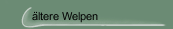 &auml;ltere Welpen