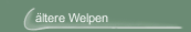 &auml;ltere Welpen