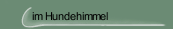 im Hundehimmel
